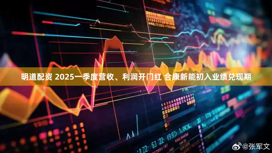明道配资 2025一季度营收、利润开门红 合康新能初入业绩兑现期