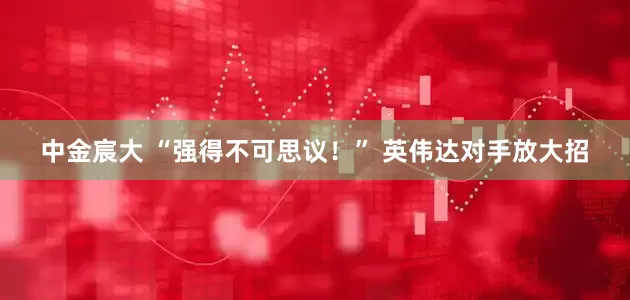 中金宸大 “强得不可思议！” 英伟达对手放大招