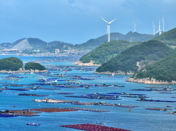 精选期货配资 以系统施策激活海洋经济发展新动能