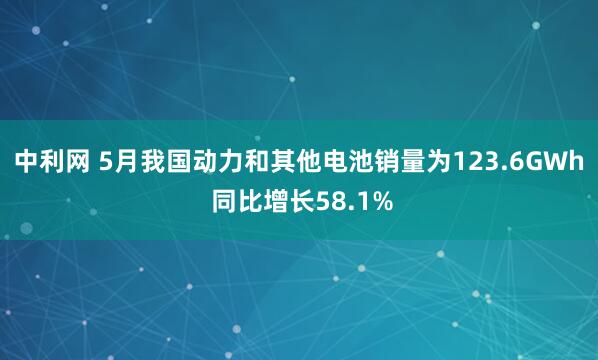中利网 5月我国动力和其他电池销量为123.6GWh 同比增长58.1%