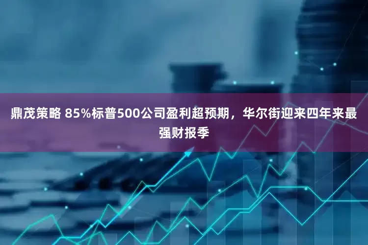 鼎茂策略 85%标普500公司盈利超预期，华尔街迎来四年来最强财报季