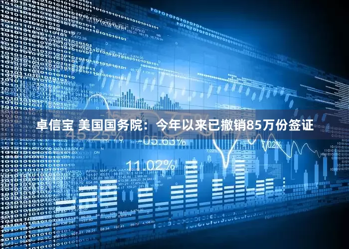 卓信宝 美国国务院：今年以来已撤销85万份签证