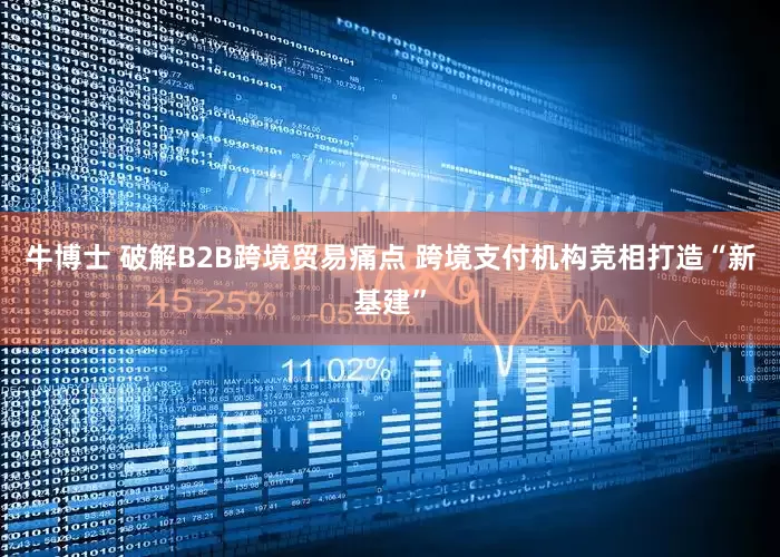 牛博士 破解B2B跨境贸易痛点 跨境支付机构竞相打造“新基建”